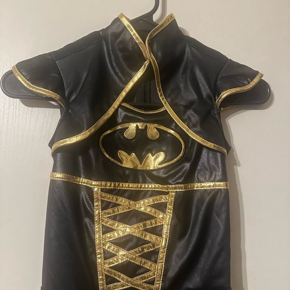 DC Black and Gold BatGirl Superhero Costume - Picture 8 of 9